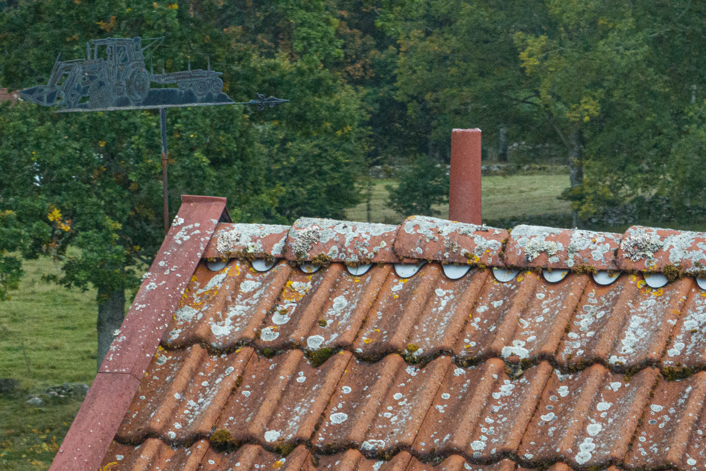 GRÖN-FRI JAPE BIOCID 1L, BEKÄMPNINGSMEDEL