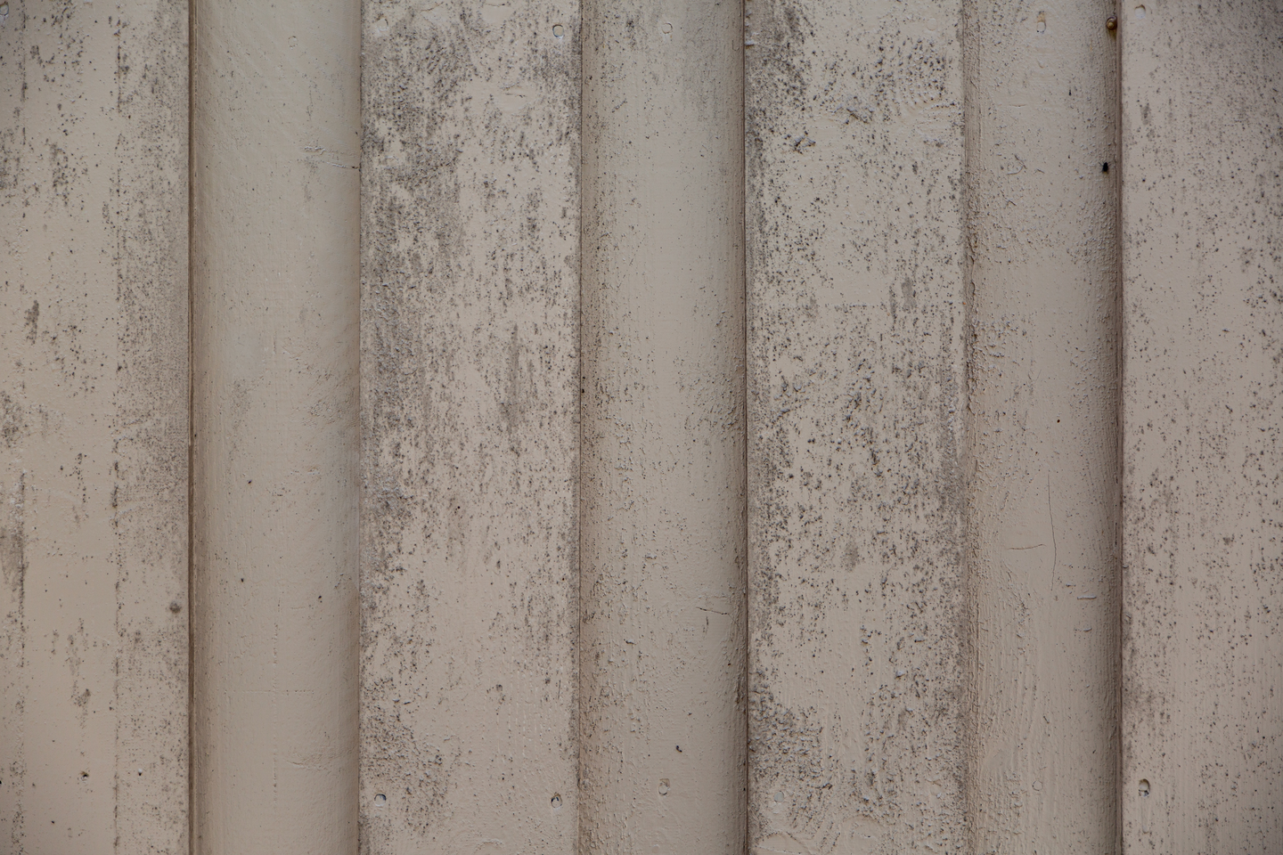 PRICK-FRI JAPE BIOCID 1L