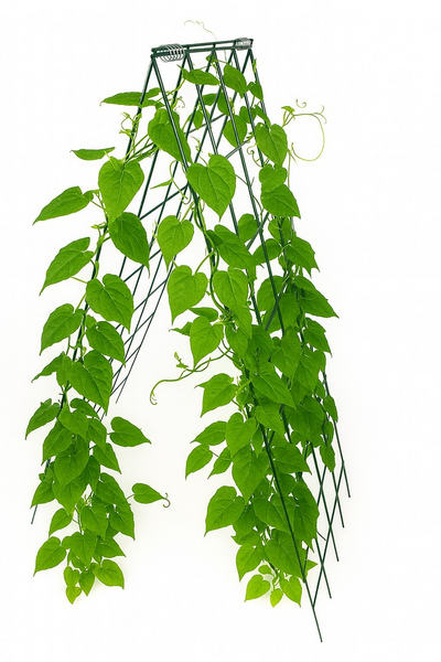 Köynnöstuki metallisäleikkö 122x43cm