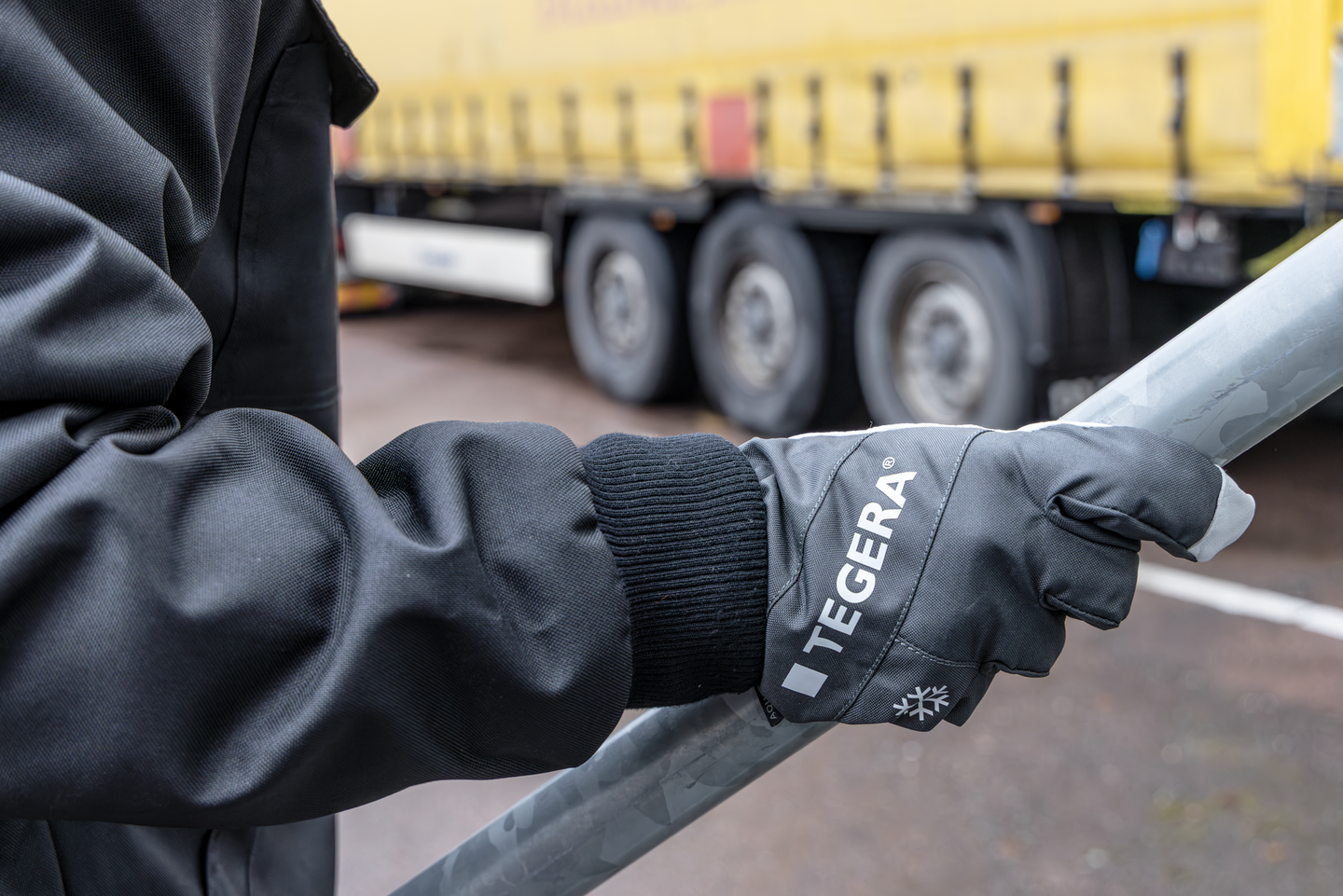 VINTERHANDSKE TEGERA 287  9