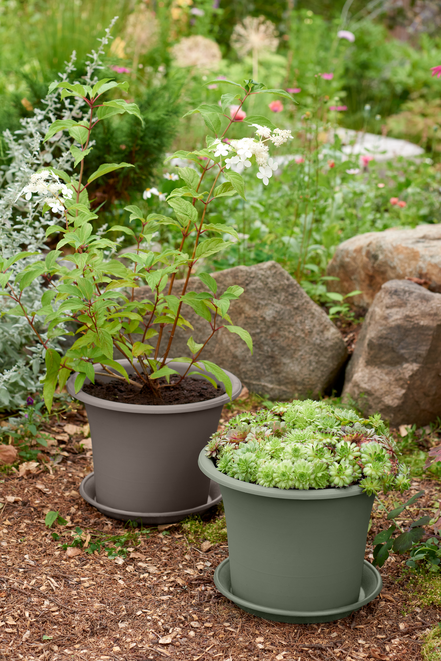 Aluslautanen Orthex Botanica 26cm vihreä