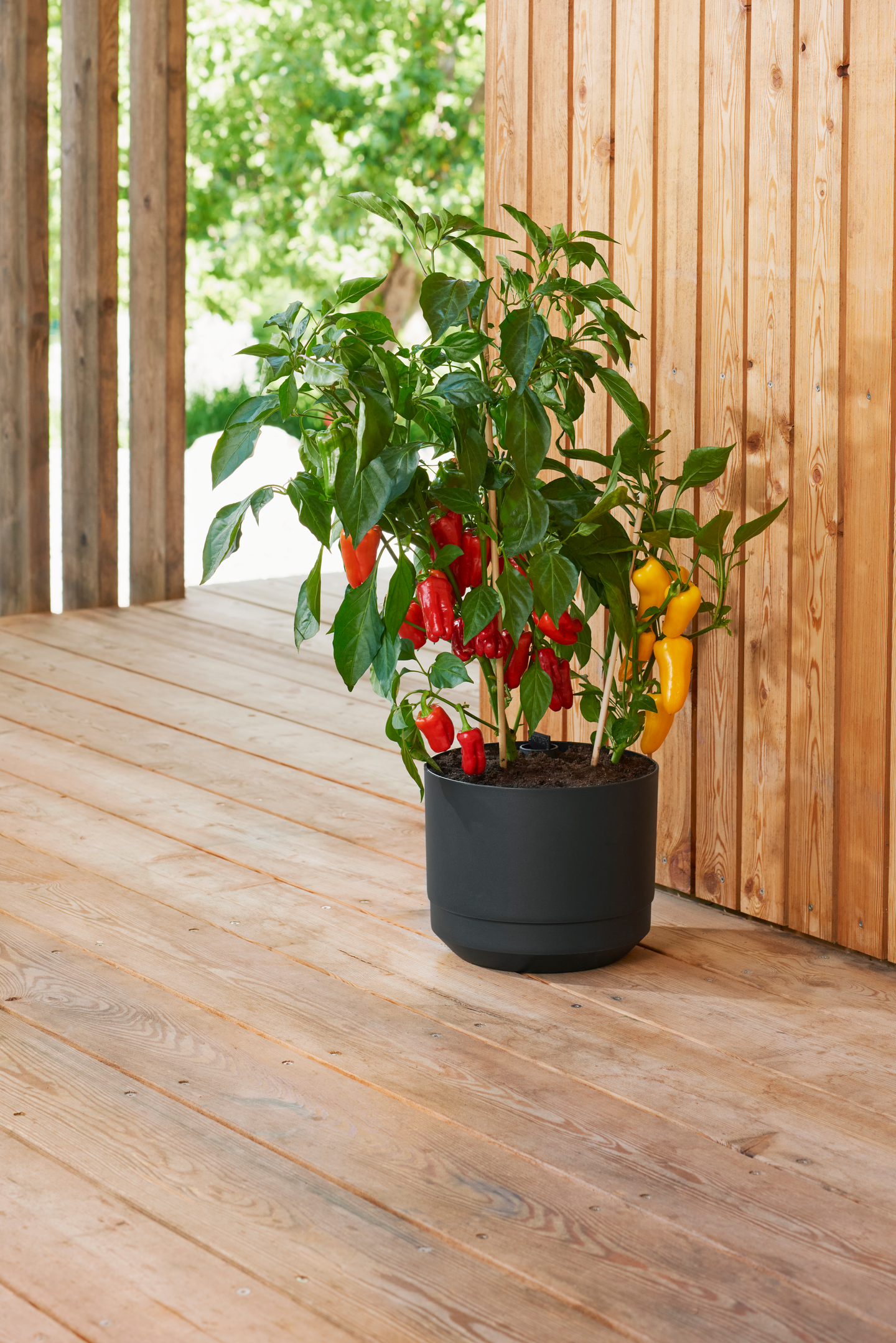 Ruukku Orthex Pauliina 25cm musta