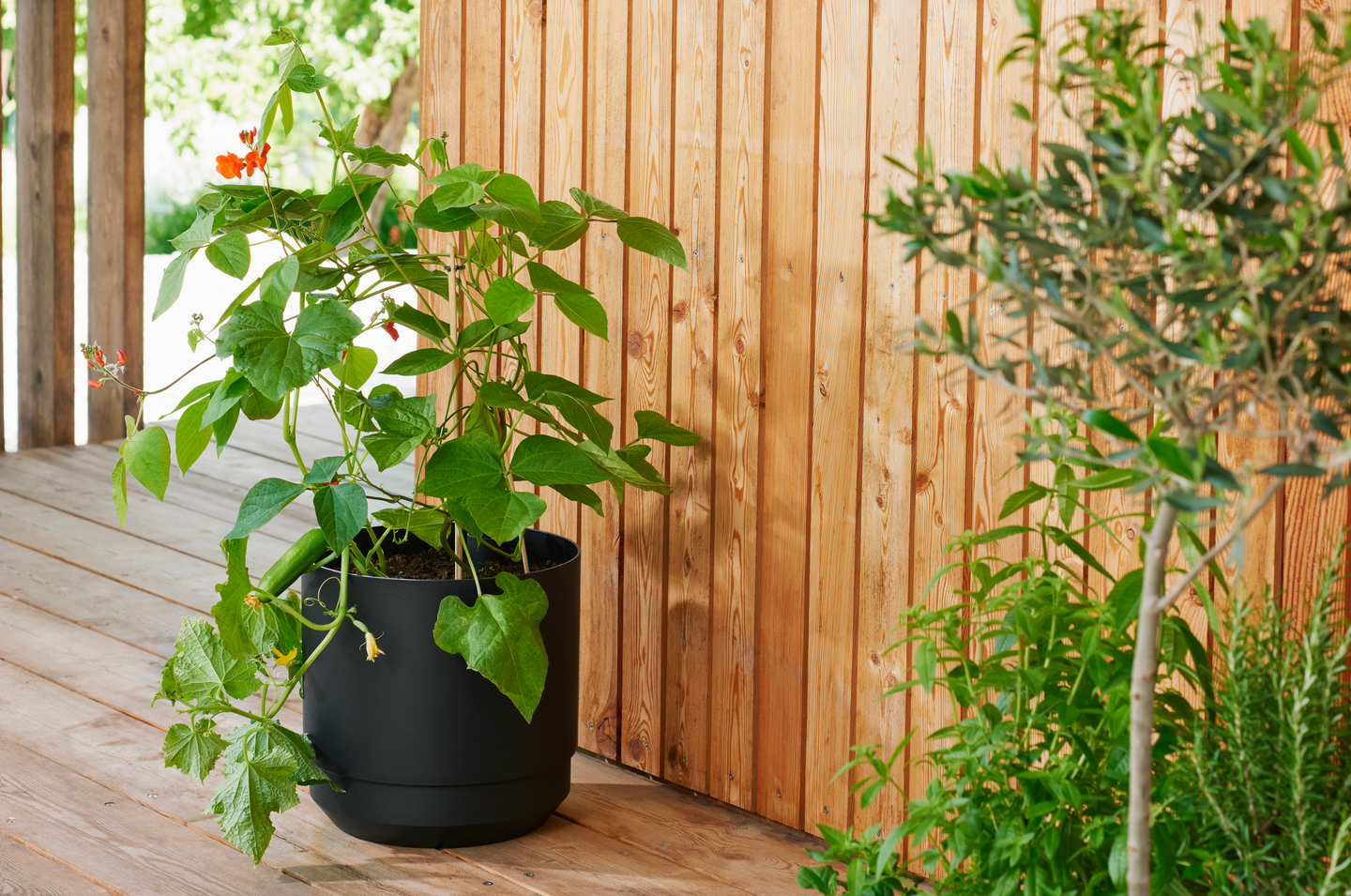 Ruukku Orthex Pauliina 30cm musta