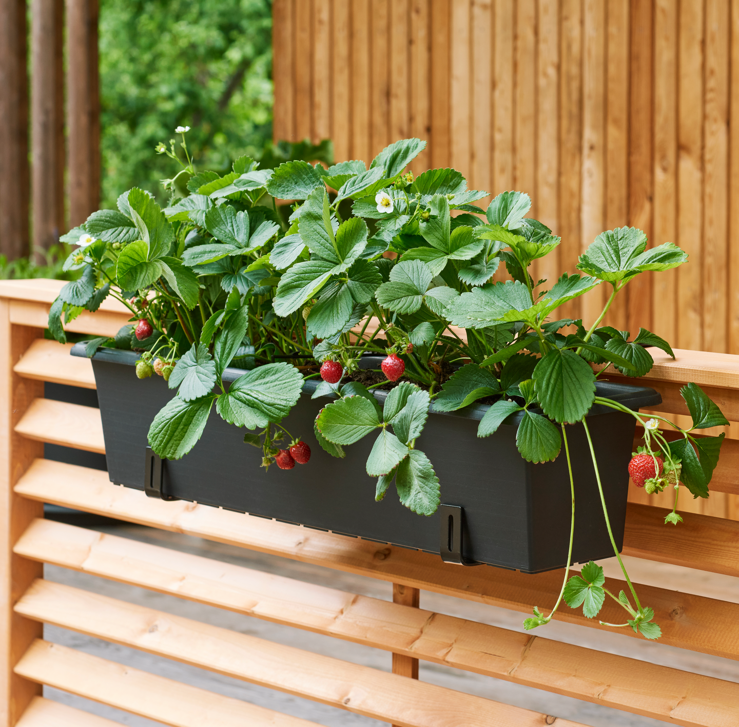 Terassilaatikon tukiraudat Orthex musta maks. 30kg