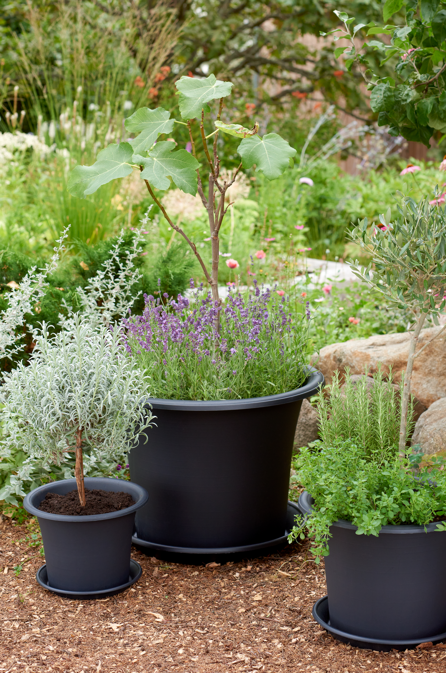 Aluslautanen Orthex Botanica 51cm musta