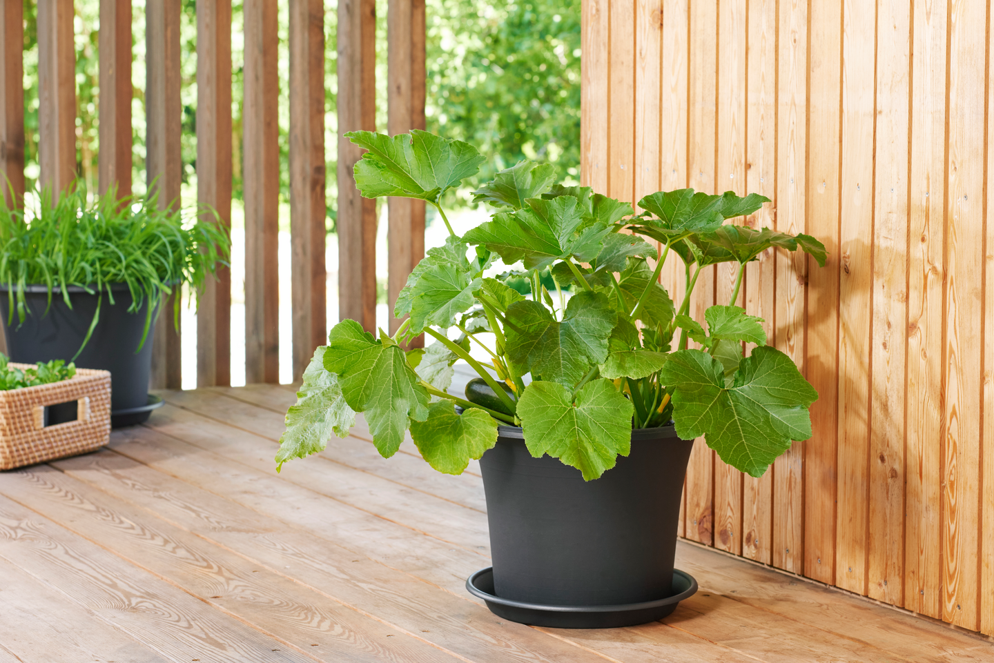 Ruukku Orthex Botanica 45cm musta