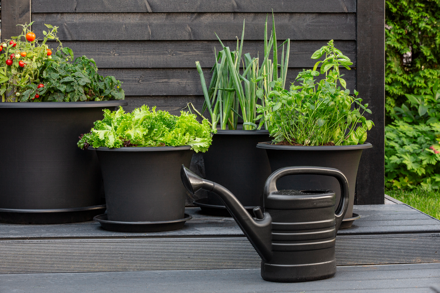 Kastelukannu Orthex Splash 10l musta