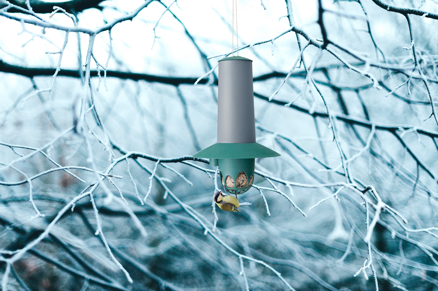 Talipalloautomaatti Orthex birdie vihreä