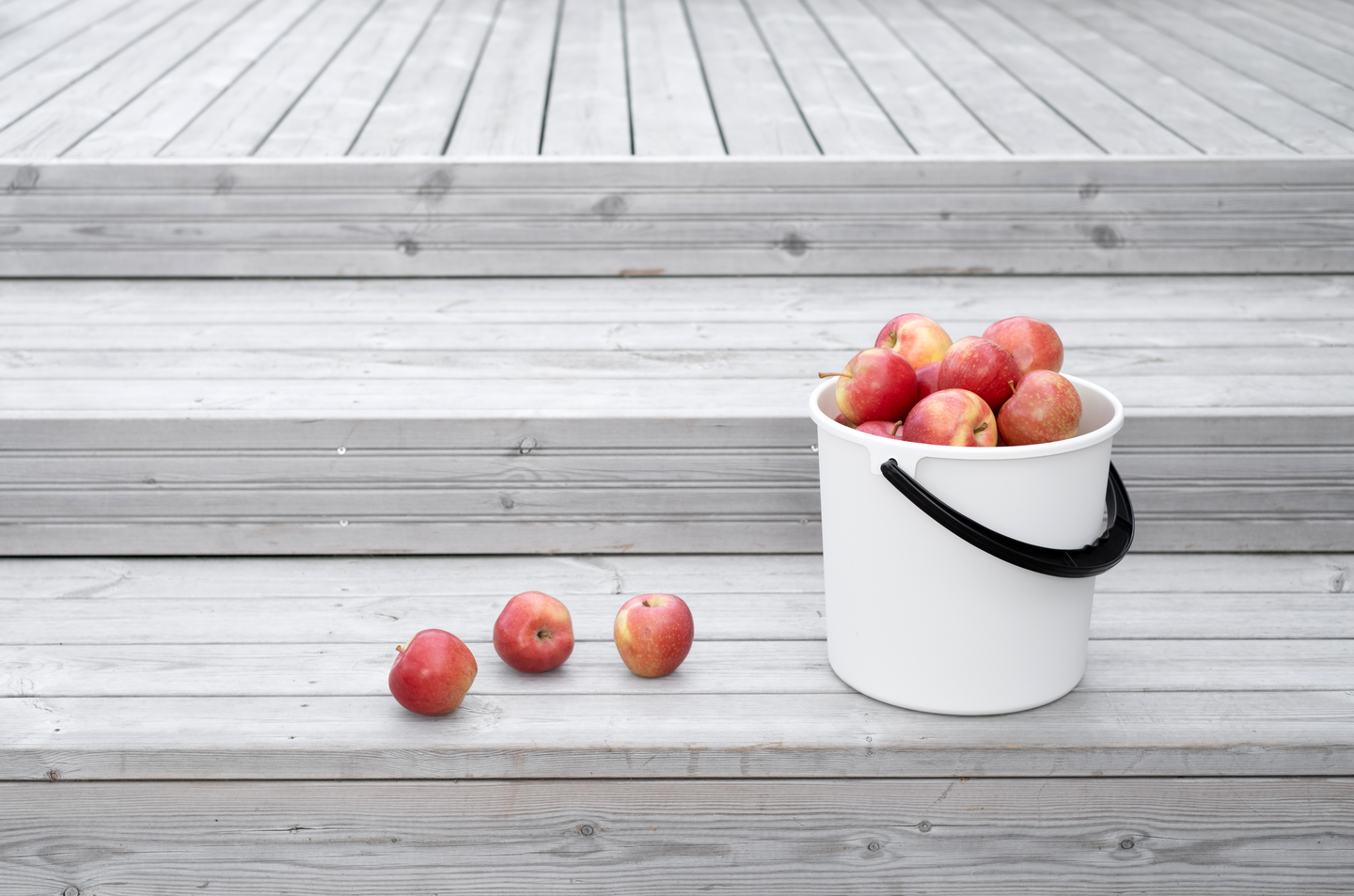 Sanko Orthex 10l valkoinen