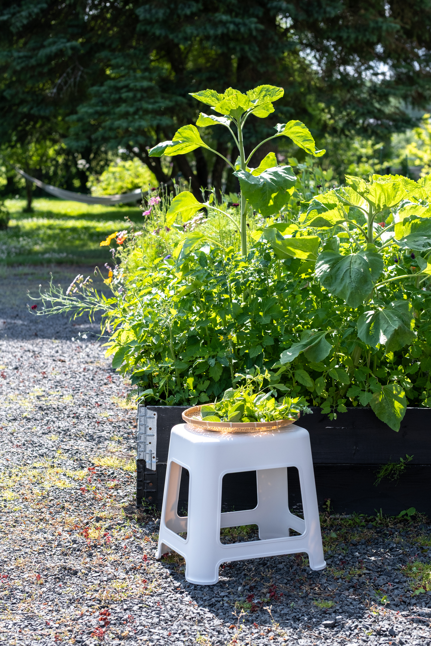 Jakkara Orthex korkea valkoinen