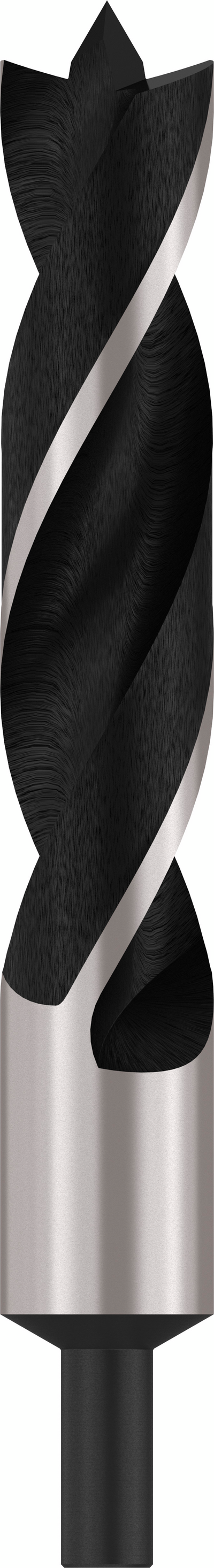 TRÄSPIRALBORR BOSCH 30X220MM