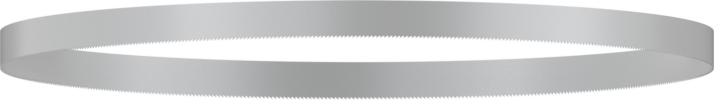 BANDSÅGBLAD BOSCH 24TPI FÖR GCB 18V-LI 2ST