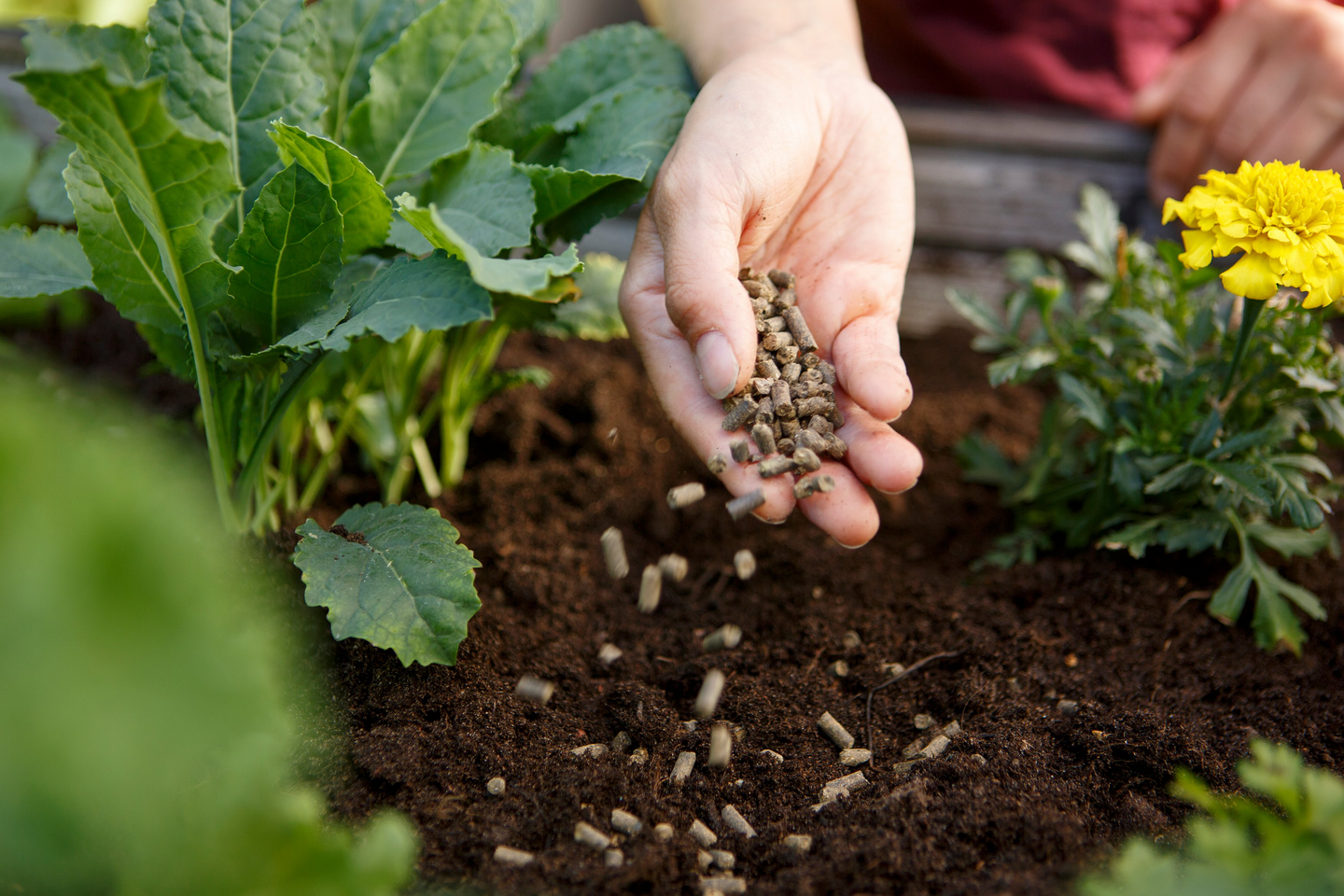 Puutarhan luonnonlannoite Kekkilä 10l