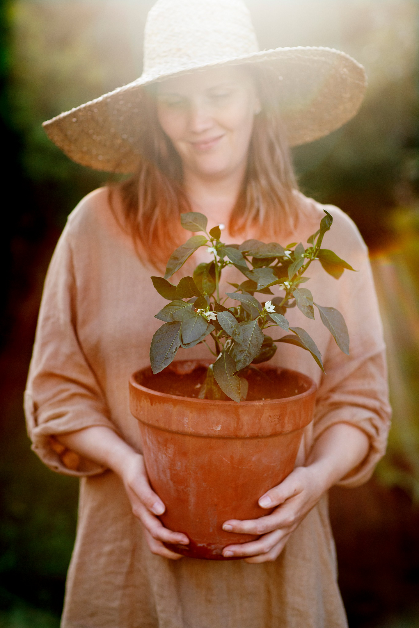 Tomaatti- ja chilimulta Kekkilä 4l