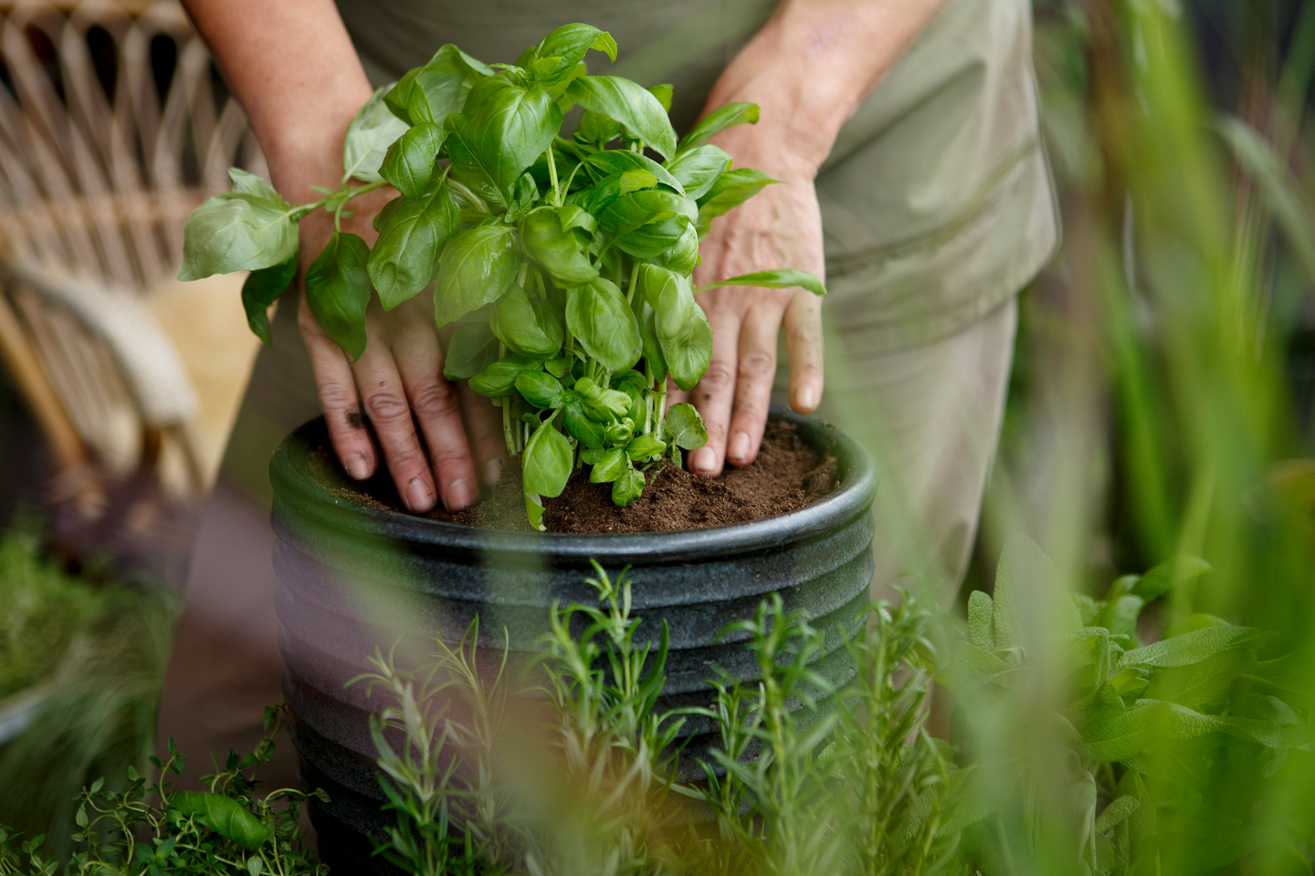 Yrttimulta Kekkilä luonnonmukainen 4l