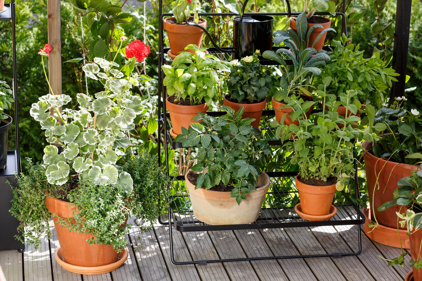 Yrttiravinnepuikko Kekkilä 30kpl