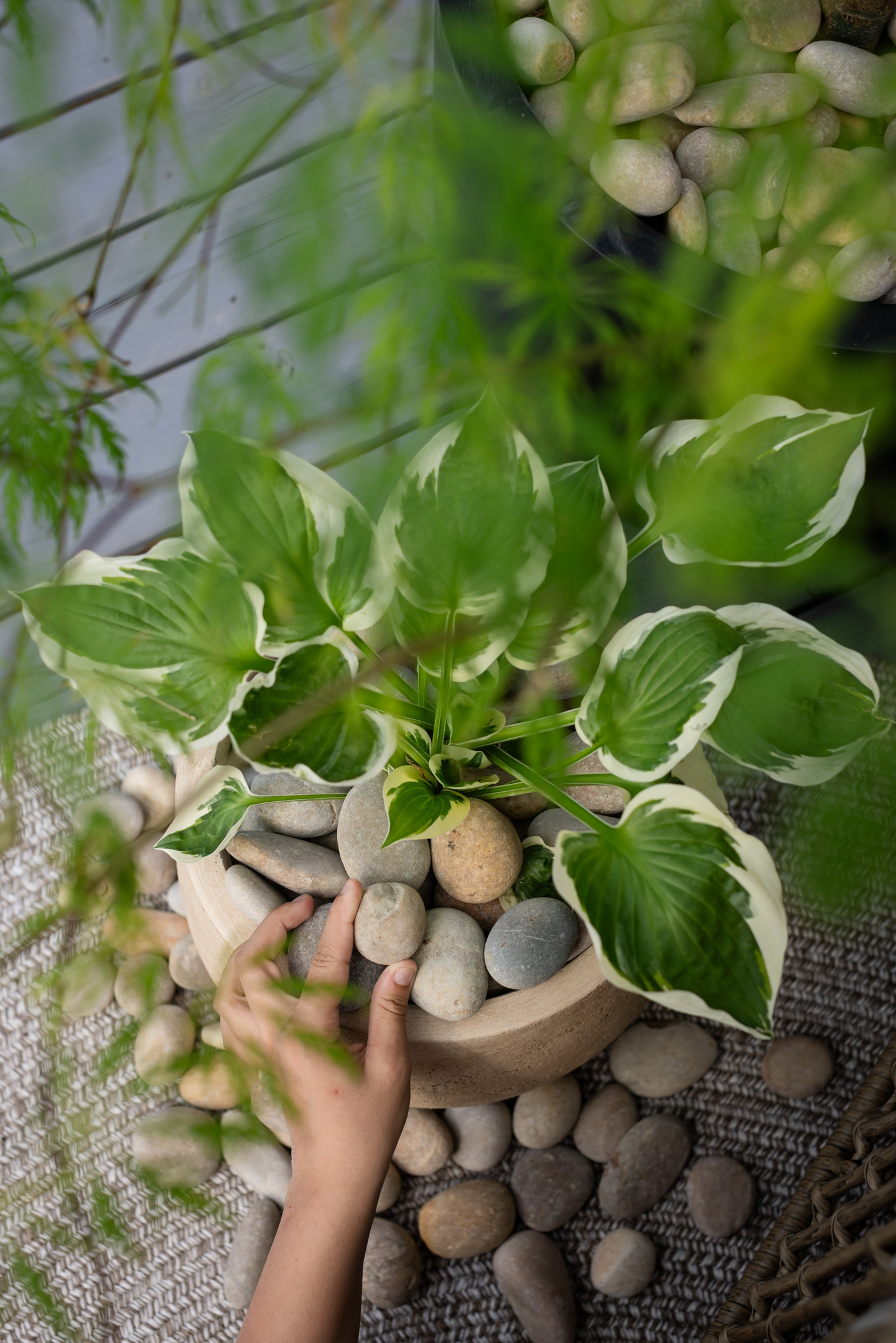 Koristekivi Kekkilä ruskea 10kg