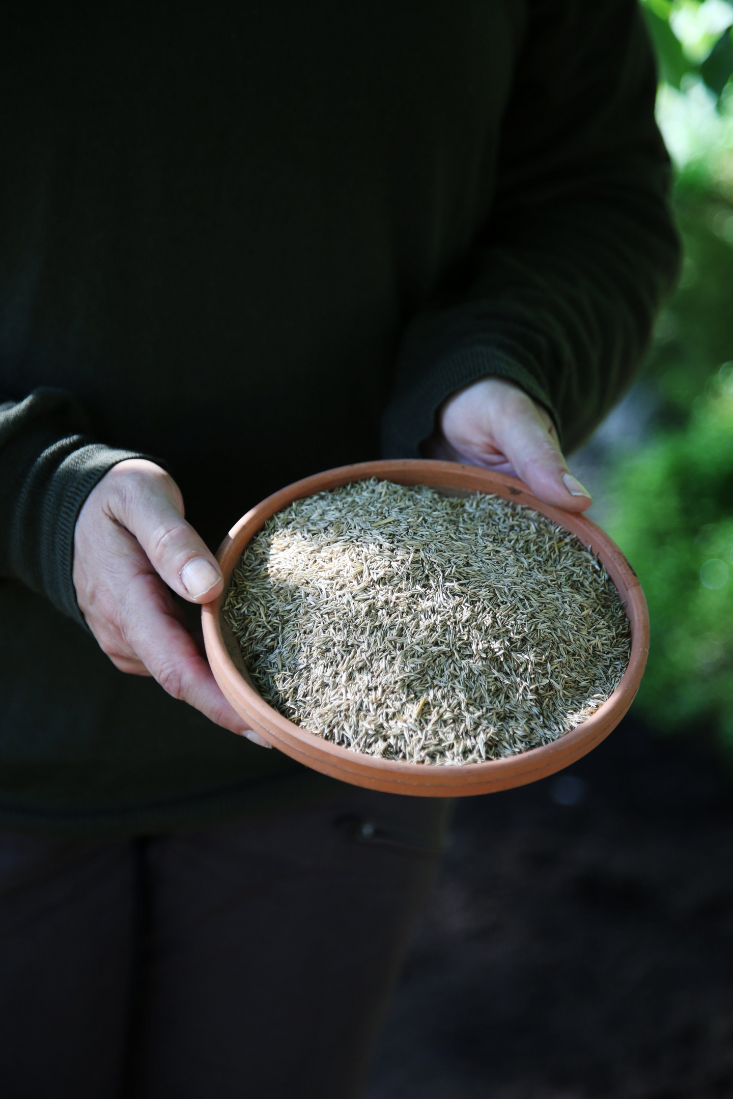 Paikkausnurmikkoseos Kekkilä 500g