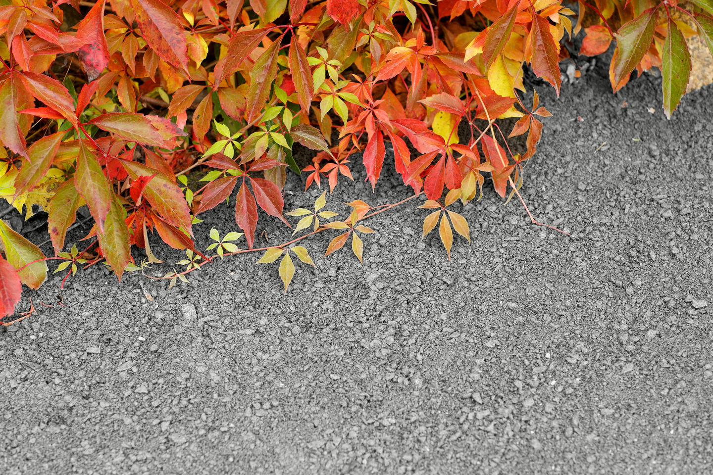 Kivituhka Kekkilä vaaleanharmaa 20kg