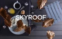 PLASTTAK AKRYL GOP SKYROOF KLAR 10X4500X970MM