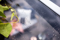 PLASTTAK AKRYL GOP SKYROOF KLAR 10X4500X970MM