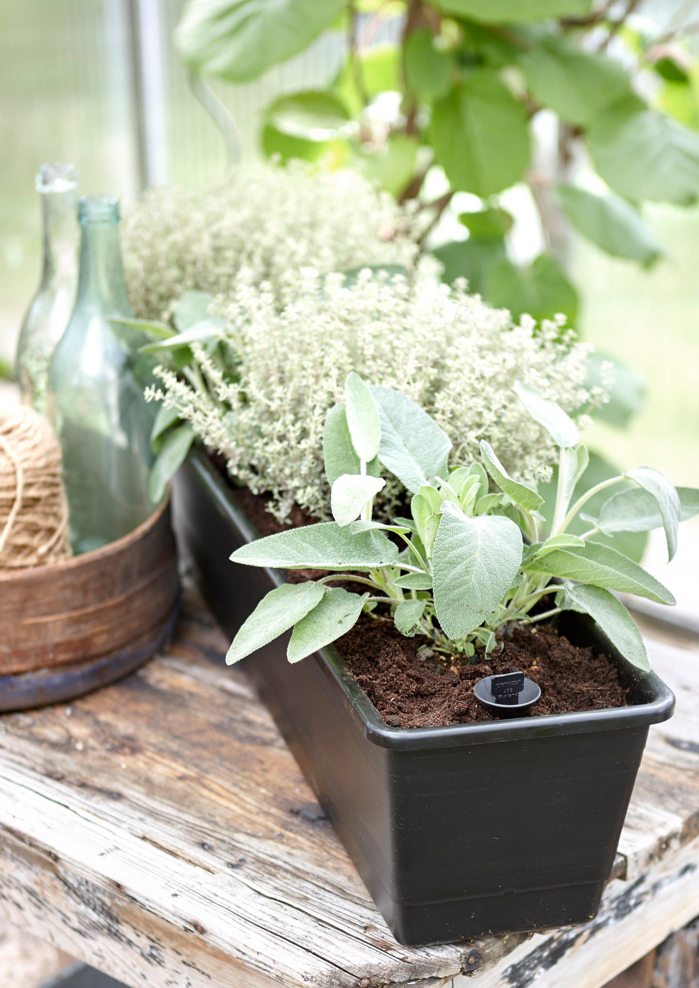 Parvekelaatikko Orthex kestokastelu 55cm musta