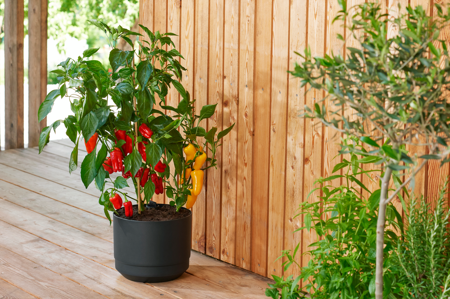 Ruukku Orthex Pauliina 25cm musta