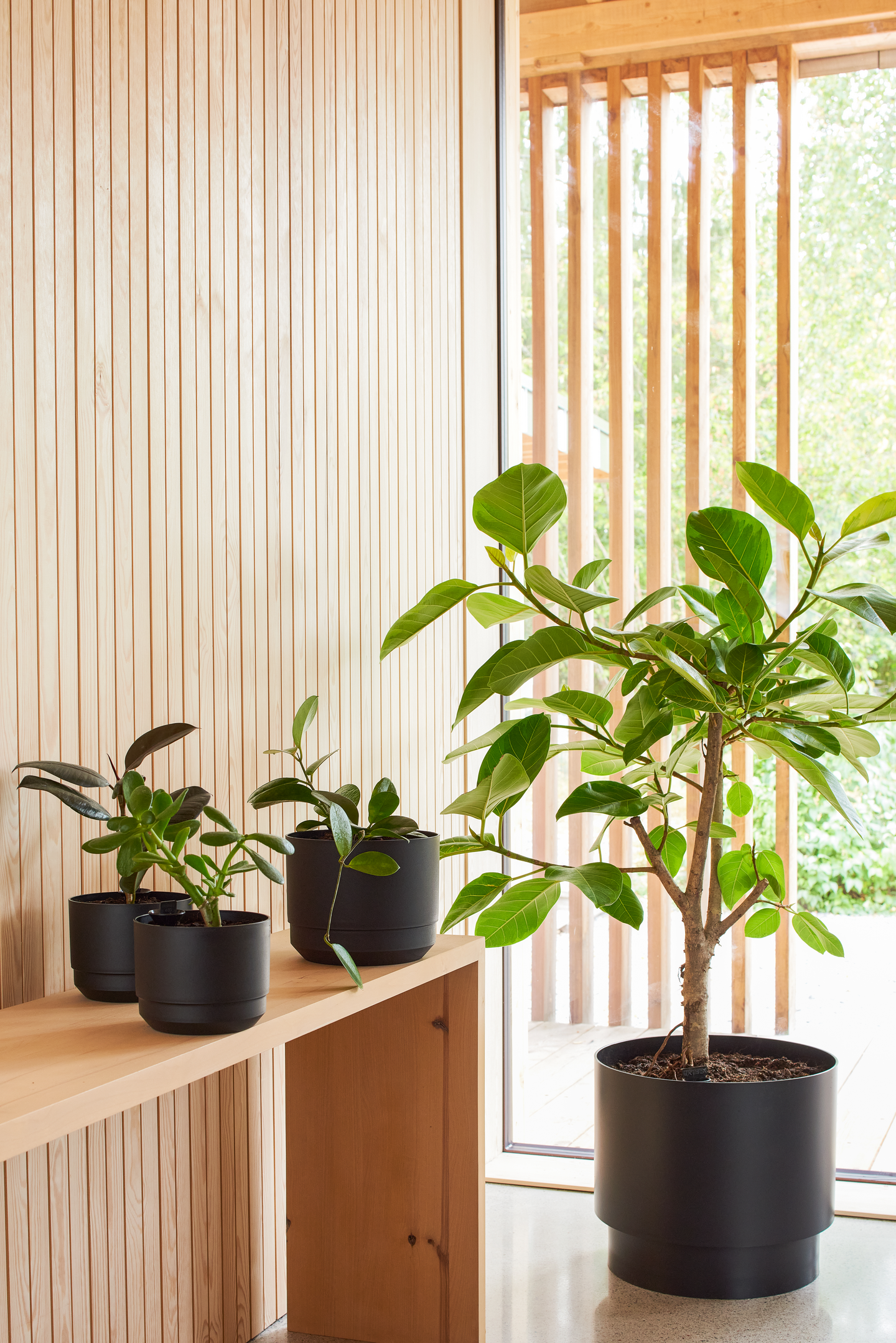 Ruukku Orthex Pauliina 30cm musta