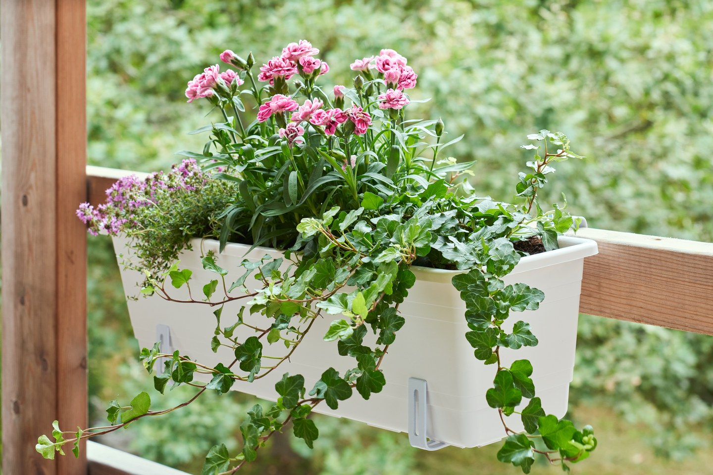 Parvekelaatikko Orthex kestokastelu 55cm valkoinen