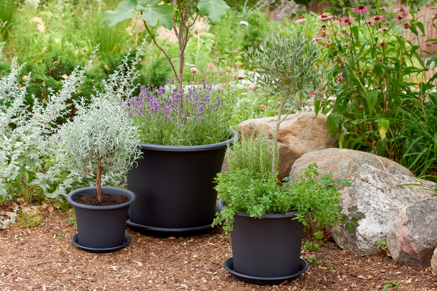 Aluslautanen Orthex Botanica 34cm musta