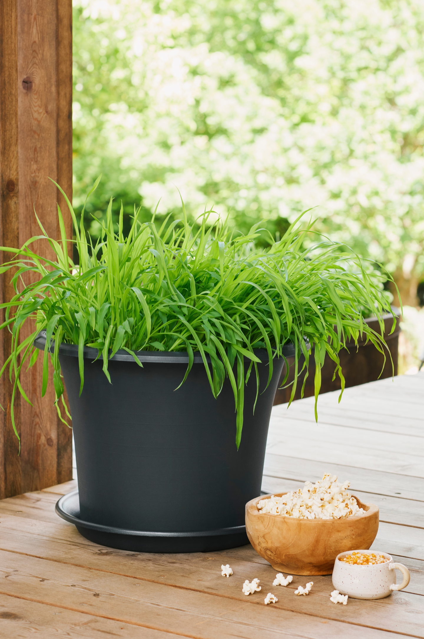 Ruukku Orthex Botanica 30cm musta