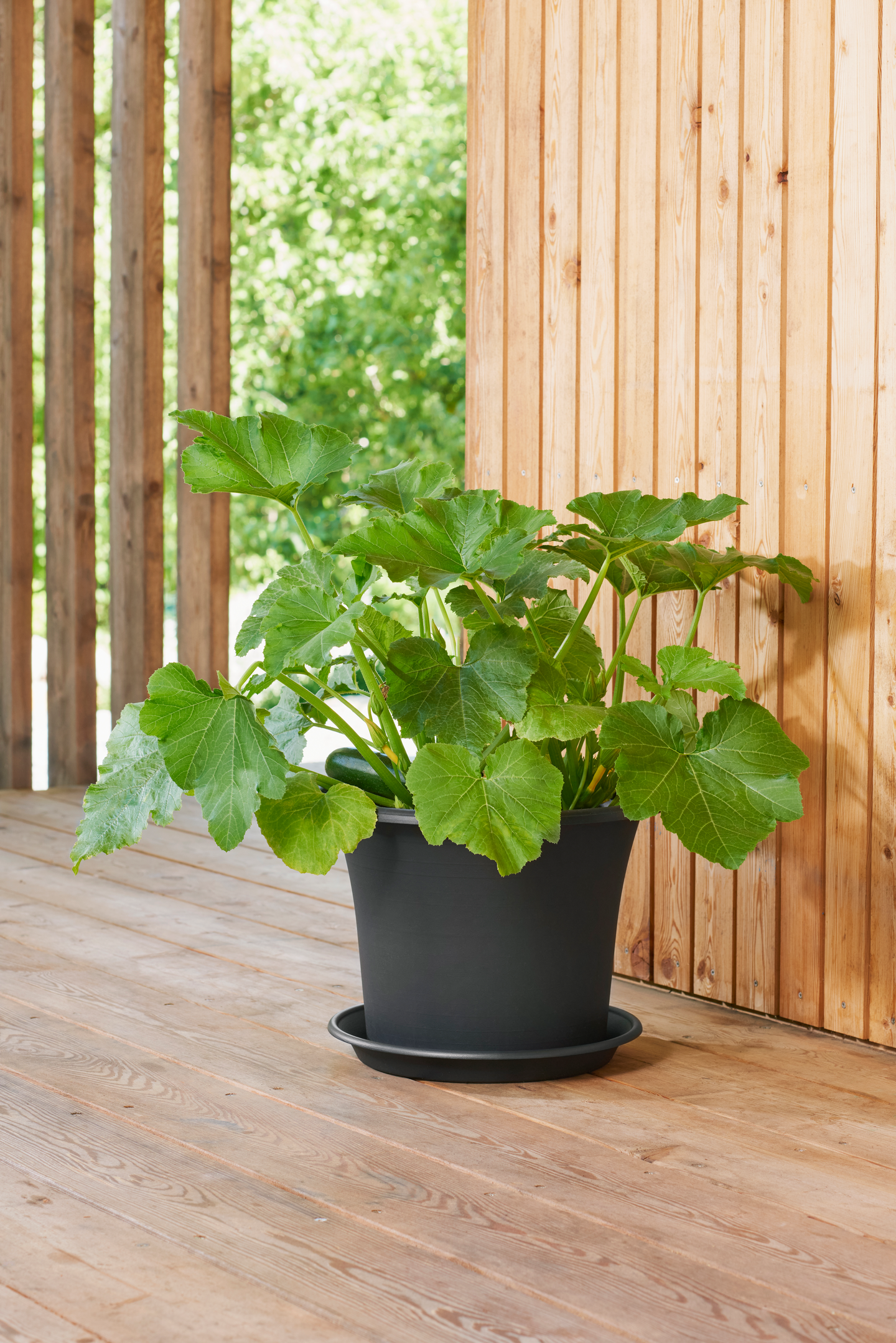 Ruukku Orthex Botanica 45cm musta