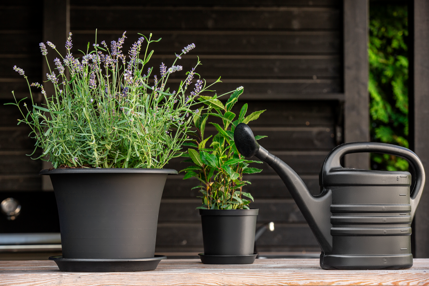 Kastelukannusuutin Orthex Splash 10l musta