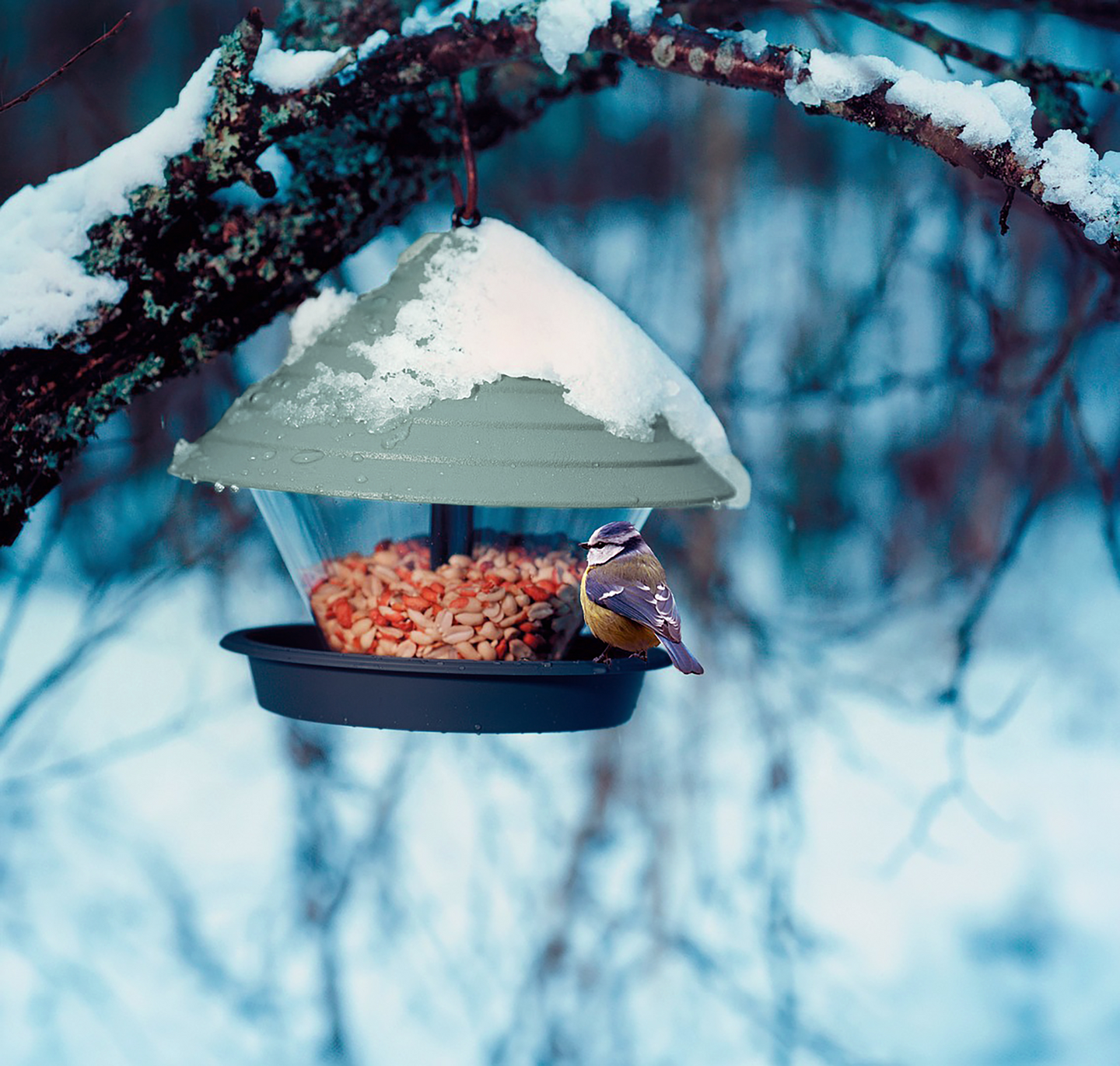 Lintulauta Orthex kota muovia vihreä