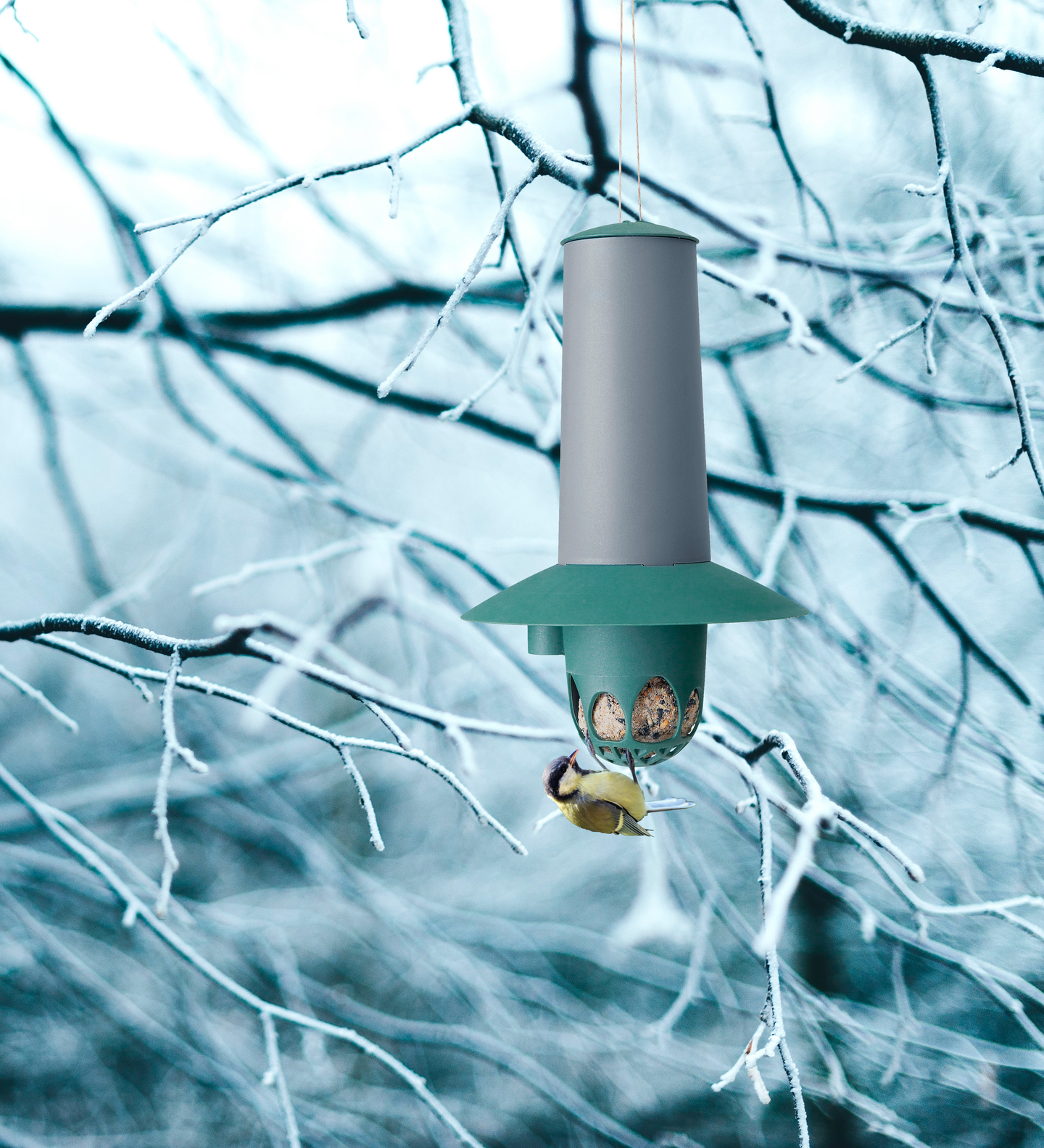 Talipalloautomaatti Orthex birdie vihreä