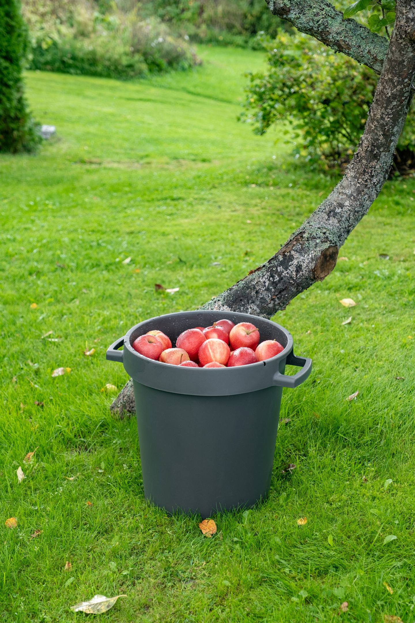 Vesisaavi Orthex 30l tummanharmaa