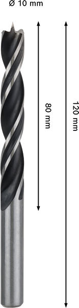 TRÄBORR BOSCH PRO 10X120MM