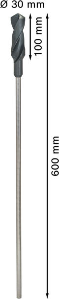 Asennusporanterä Bosch PRO Wood HSS 30x100x600mm