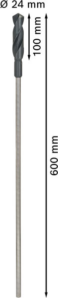 Asennusporanterä Bosch PRO Wood HSS 24x100x600mm
