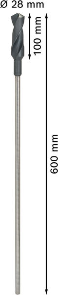 Asennusporanterä Bosch PRO Wood HSS 28x100x600mm