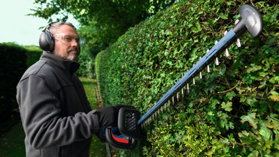 Akkupensasleikkuri Bosch GHE 18V-60 (II) Solo