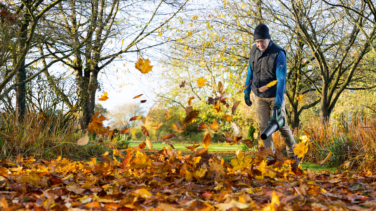 Akkulehtipuhallin Bosch AdvancedLeafBlower 36V-750 1x2,0Ah + laturi