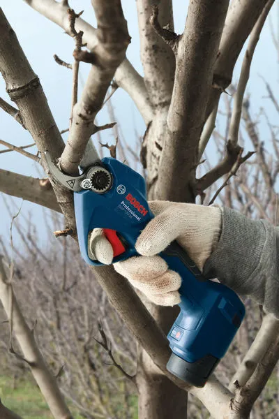 Akkuoksasakset Bosch GGP 12V-25 Solo