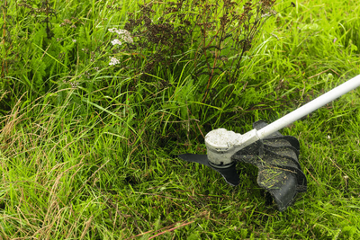 Raivausterä Bosch 25cm 3T