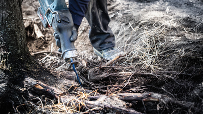 TIGERSÅGBLAD BOSCH S1242KHM WOOD