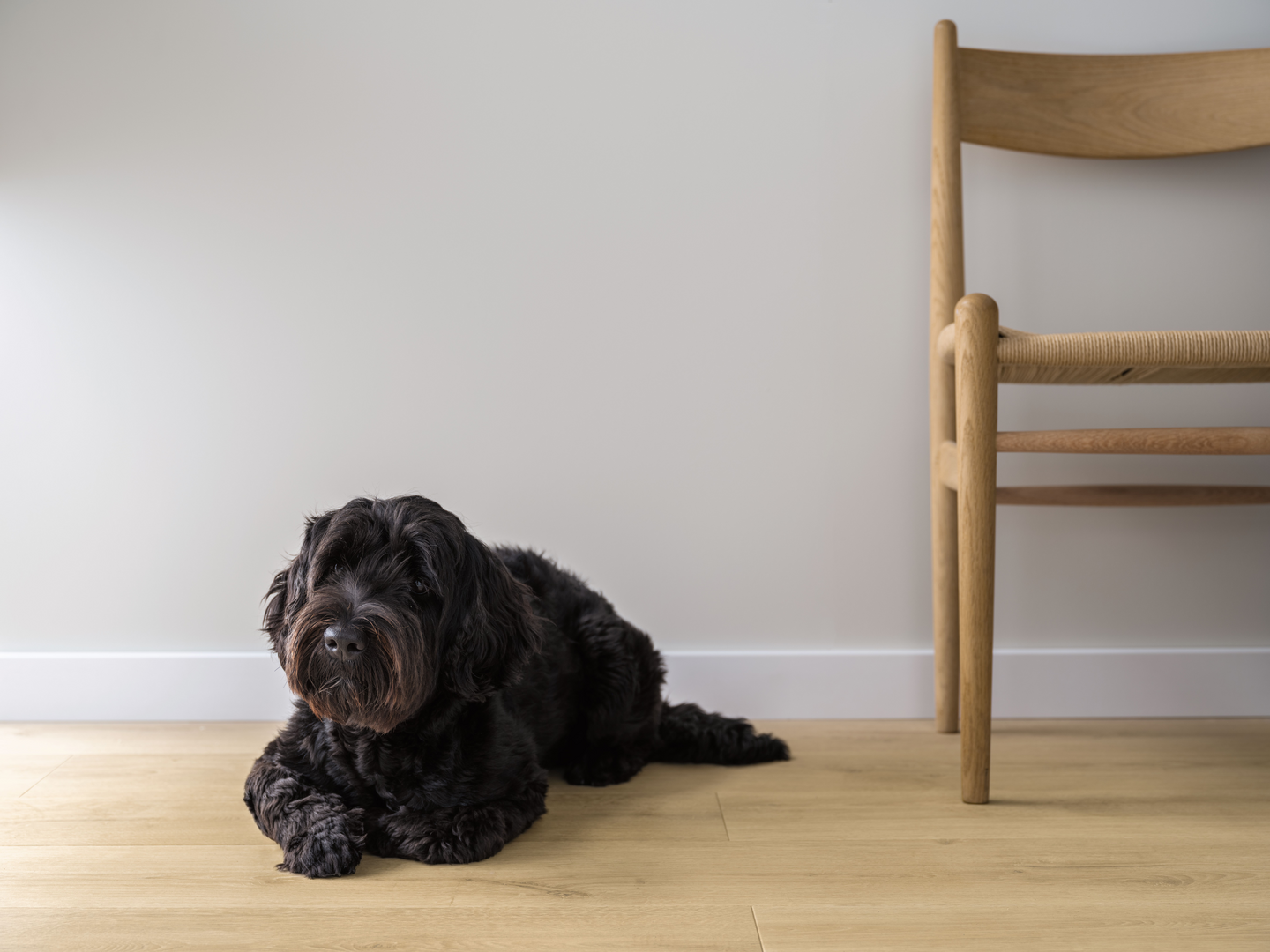 Laminatgulv 1-stav Lillehammer, Pure Oak - Pergo