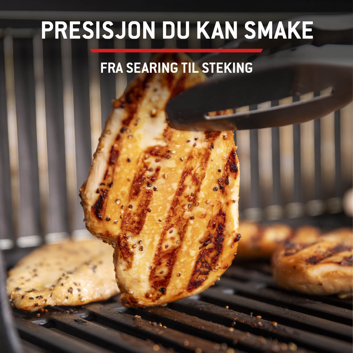 GASSGRILL SPIRIT E-425