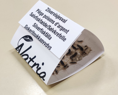 Sokeritoukkapyydys Natria 2kpl/pkt