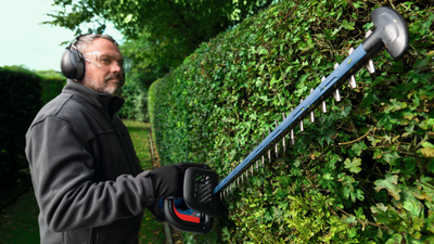 Akkupensasleikkuri Bosch GHE 18V-60 (II) Solo