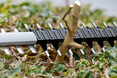 HÄCKSAX BOSCH GHE 18V50